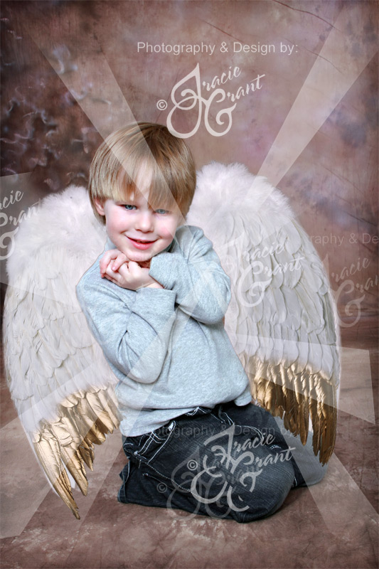 GOLD Angel Wings Digital Photography Prop PSD FILE  